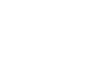 Schönfelder EDV Logo